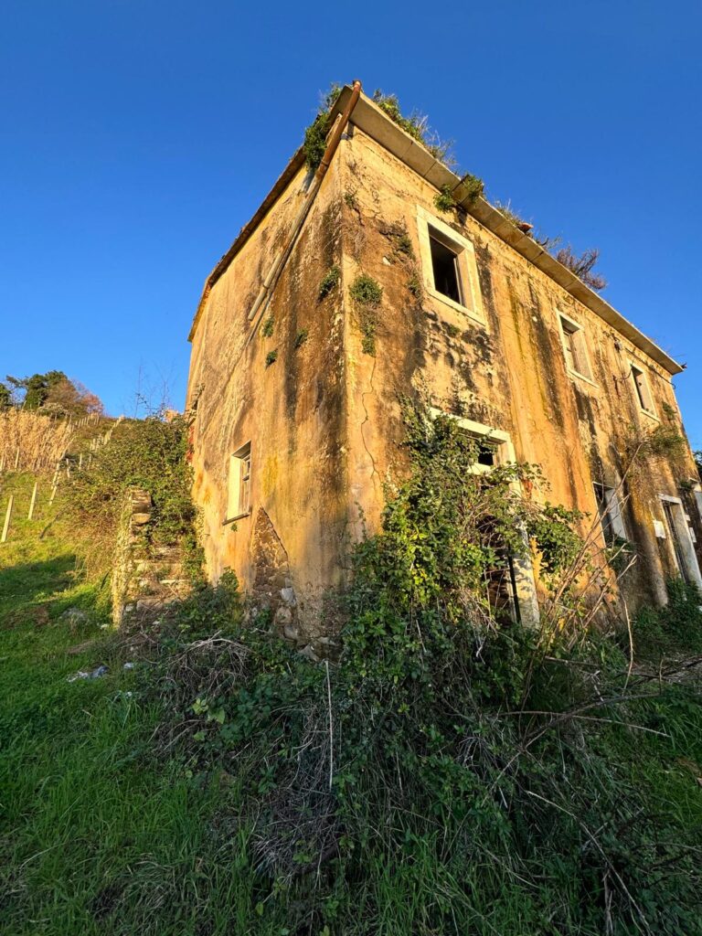 Rustico località Bonascola (MS) con vista mare