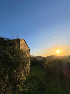 Rustico località Bonascola (MS) con vista mare